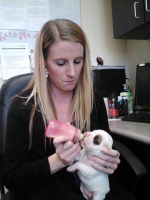 One of our nurses bottle feeding.