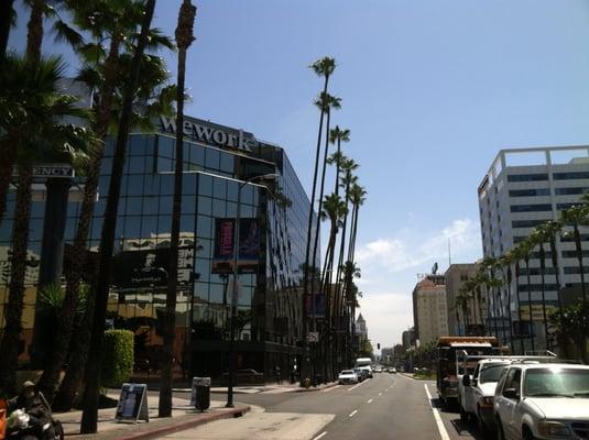 View from corner of Hollywood Blvd and La Brea Ave