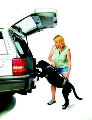 The Help 'Em Up Harness makes it easier to get your dog into the car.