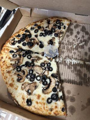 The pizza I received