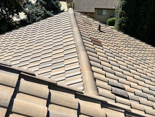 The three darker sections on the right are actually low profile vents that blend into the roof.