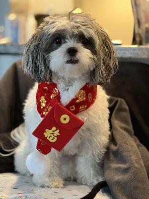 My daughter during CNY!