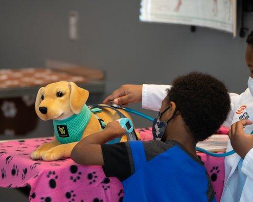 Kid playing in Mock Vet Exam Room