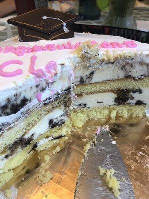 Yummy ice cream cake!