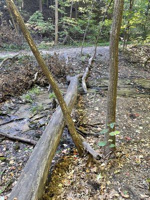 I bet you didn't know there were obstacle courses along the Old Cedar Avenue trail