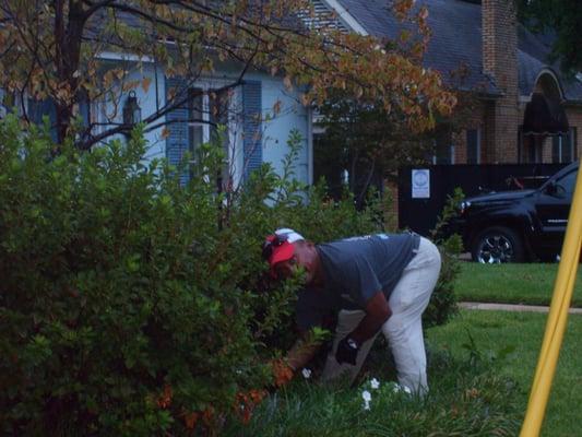 Colonial Lawn Care and Landscape Services