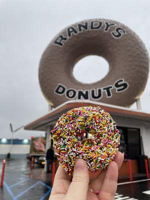 Outside and Sprinkles Iced Cake