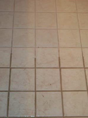 Tile "Before & After Cleaning"