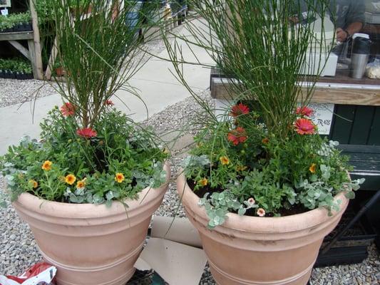 Customer's Planters.. You bring them to us, we plant them up!!