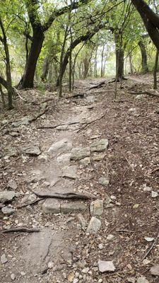 East side - hills, rocks, and roots