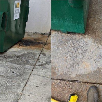 Commercial dumpster pad pressure cleaning and grease removal in Forest Acres by Duck Power Wash.