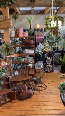 Plants, vases, pots