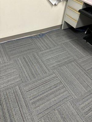 Office carpet cleaning