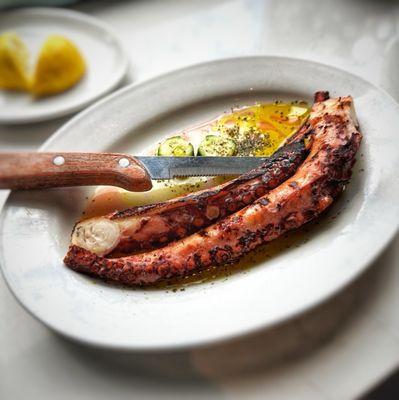 Grilled Octopus