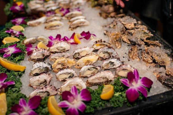 Oyster Bar at our wedding - January 29, 2022