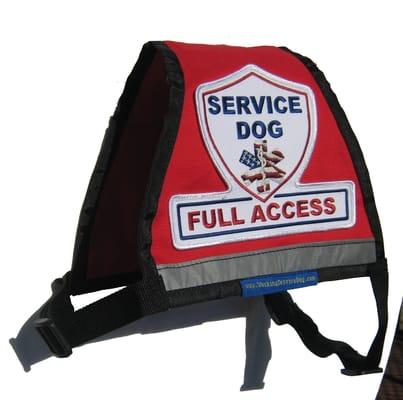 Premium service dog vest