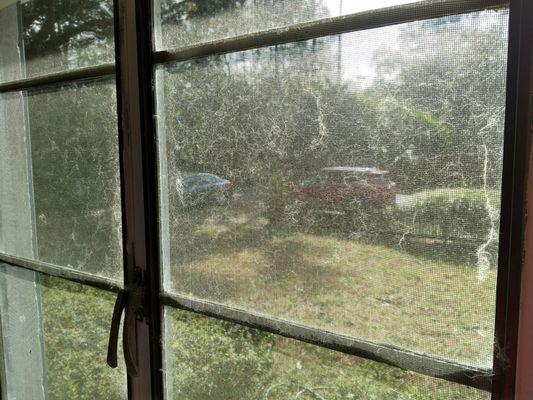 After lifting the blinds that were cleaned on just one side-- I had to vacuum the cat hair