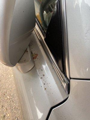 Dirt and debris all over my car which was totally covered