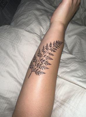 Fern Tattoo, whole arm view.