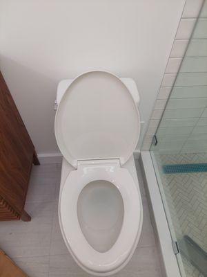 Installing a new toilet.