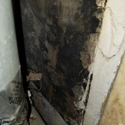 Water heater leak, caused mold growth