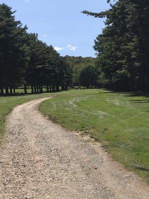 #1 handicap- all uphill (394) par4 everything runs left to right