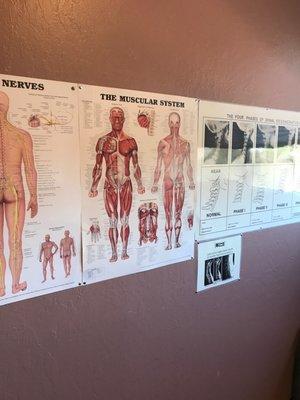 East West Chiropractic