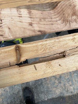 Wood rot