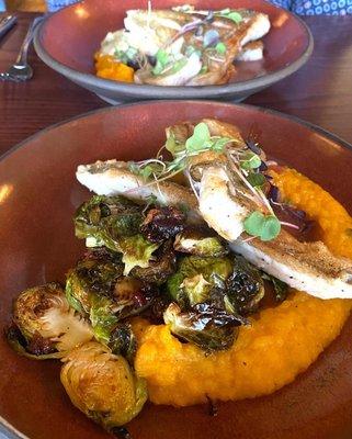 Special of the night...sautéed walleye with butternut purée and roasted brussels sprouts