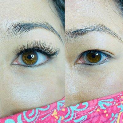 Lash Extensions