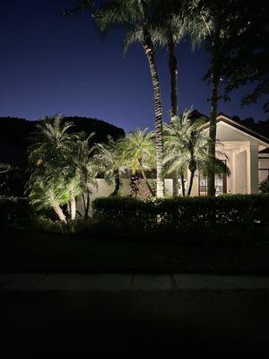 A1 Illuminations Landscape Lighting