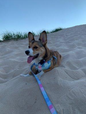 Ludington State Park