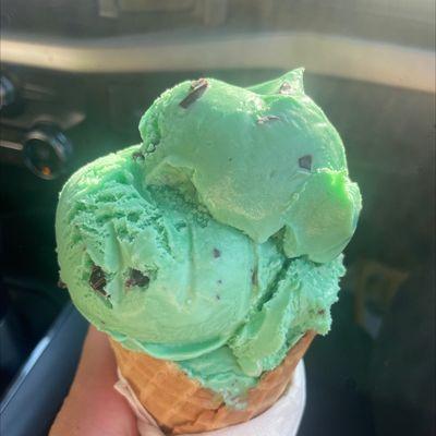 Mint chocolate chip waffle cone is huge