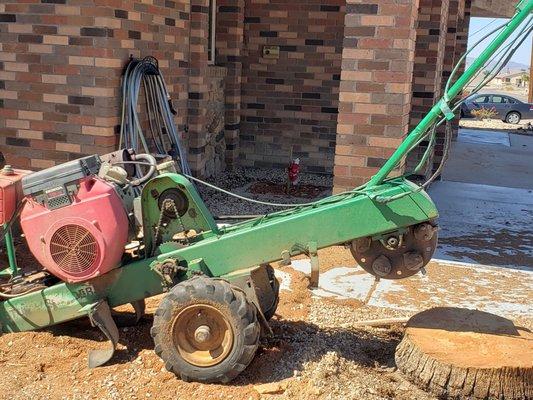 Stump grinding.