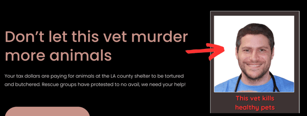 Website demanding justice for murdering vet dr vardi