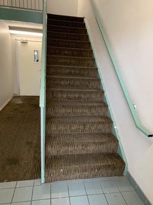 Gross carpet and no elevator to the second floor. Hope you don't have a lot of luggage.