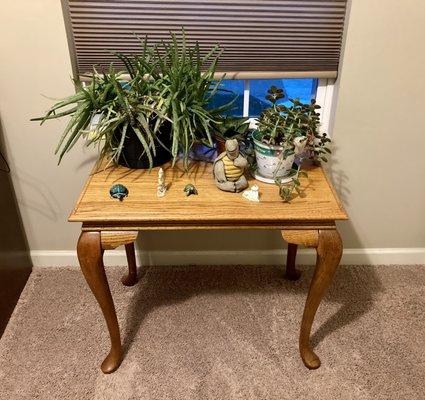 I bought this table at Surprise Thrift Shop