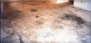 This was a rental that the owner thought he was going to have to replace the carpet. This is BEFORE we cleaned it.