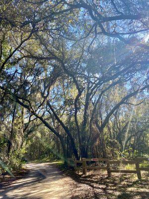 Beautiful serene dirt trails to run or walk