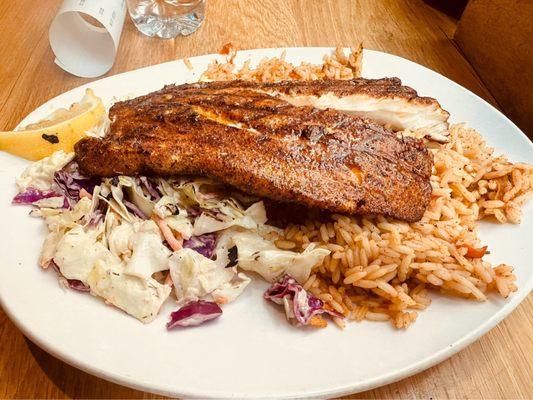 Snapper plate with Cajun seasoning