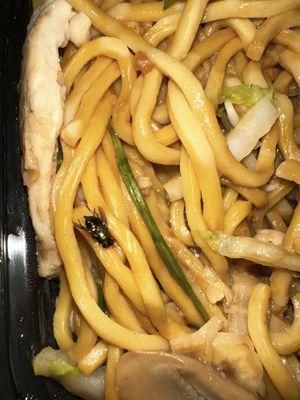 Chicken Lo Mein with a crispy dead fly