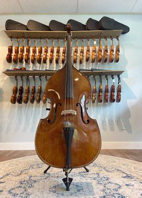 Stradivari Supremo Model Bass