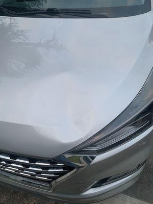 2022 Kia sorrento "BIG Large hood dent" done with Paintless dent repair! No fillers or bondo. Swing by to see what we are able to do:).