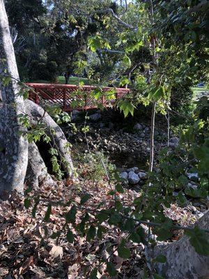 Running mission creek