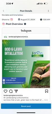 Sod and lawn insulation