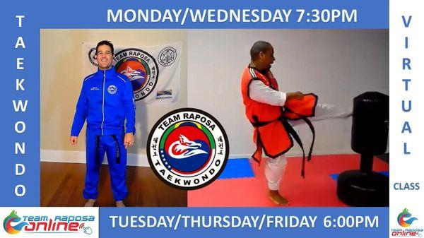 Join Us! Virtual Taekwondo Classes $19.99/week