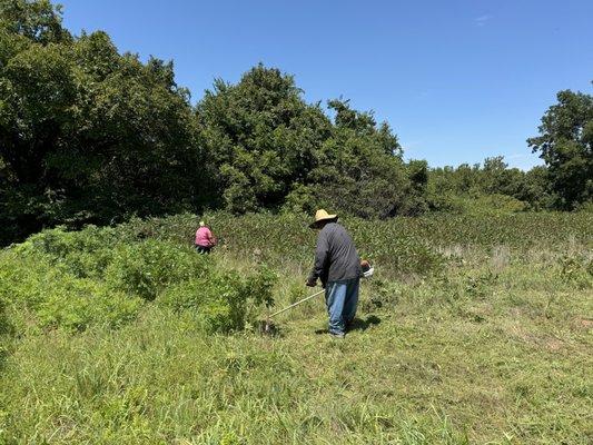 Acreage lot clearing down to dirt. Start of clearing process.