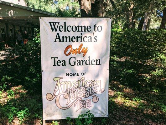 Charleston Tea Garden