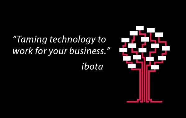 Santa Clara IT Consulting - Taming  Technology to Work for Your Business!