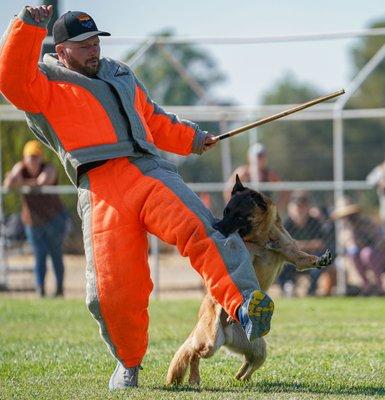 Protection Training